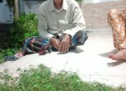 Dosen UMM Melirik Tumbuhan Kamandin Saebo Yang Hampir Punah