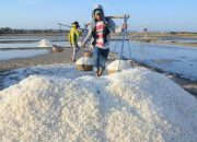 Angin Segar, Harga Garam Di Sumenep Membaik