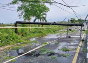 Tiang Listrik dan Pohon Tumbang Akibat Angin Kencang Disertai Hujan