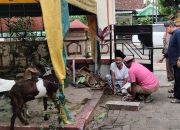 Camat Ganding Berkurban Bersama Keluarga