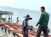 Pemdes Pagerungan Kecil Rehab Dermaga Kayu Pakai Dana Desa Tahun 2024