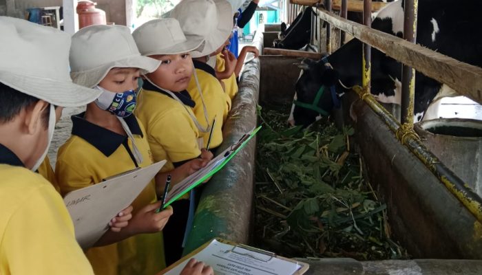 Siswa SD Unggul Permata Mulia Senang Mengikuti Fieldtrip