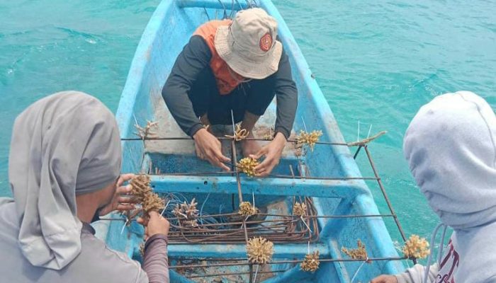 Taruna Persada Mitra Binaan SKK Migas-KEI Lakukan Transplantasi Terumbu Karang di Pulau Sadulang