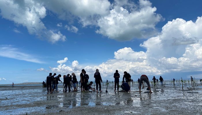 BEM Fakultas Teknik Universitas Wiraraja Adakan Penanaman Mangrove di Desa Padike