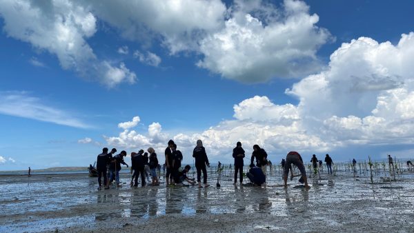 BEM Fakultas Teknik Universitas Wiraraja Adakan Penanaman Mangrove di Desa Padike