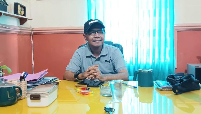 Menjelang Nataru 2025, Komoditas Rumah Tangga Tepantau Stabil