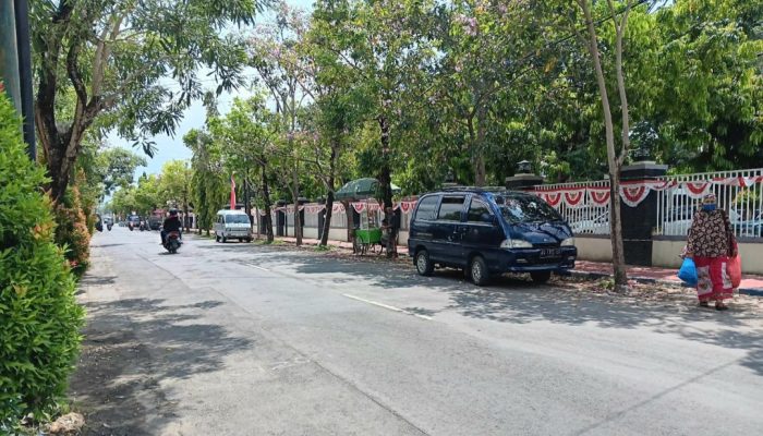 Pohon Tabebuya Bikin Jalan Raya di Kota Sumenep Semakin Romantis