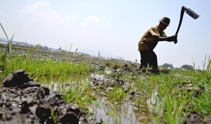 Upaya Swasembada Pangan: DKPP Sumenep Optimalkan Ketersediaan Air dan Sentuhan Teknologi