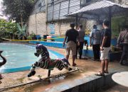 Keterangan Polres Sumenep Soal Anak Usia SD yang Diduga Meninggal di Kolam Renang Wisata Tectona