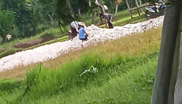 Keputusan JPU Kejari Sumenep Diragukan Warga Desa Badur, Kasi Intel: Tak Seberat yang Diberitakan