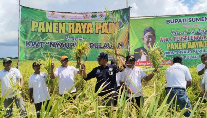 Panen Raya Padi, Kades Saur Saebus Target Hasil Pertanian Jadi Lumbung Pangan di Kepulauan Sapeken