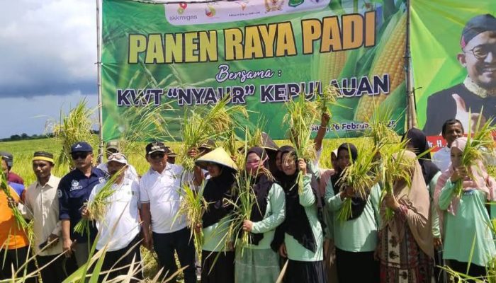 Kades Marjuni Optimis Pulau Saur dan Saebus Akan Jadi Lumbung Pangan Kepulauan Sapeken