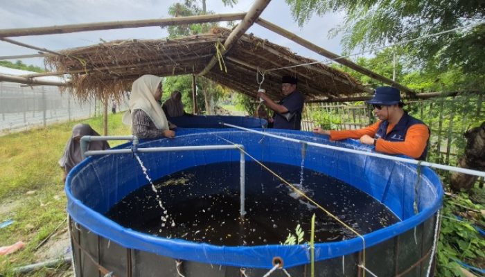 Kades Alas Malang Target Program Green House Binaan SKK Migas-KEI Bisa Nyumbang PADes dan Mandiri