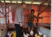 Kapolres Sumenep Kunjungi Peternakan Ayam, Dukung Ketahanan Pangan Lokal