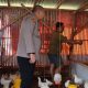 Kapolres Sumenep Kunjungi Peternakan Ayam, Dukung Ketahanan Pangan Lokal