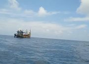 Nelayan Masalembu Resah: Kapal Cantrang Kian Marak, Ekosistem Laut Terancam