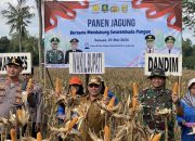 Wabup Imam Hasyim Hadiri Panen Jagung di Ellak Daya: Optimis Mendorong Pertumbuhan Ekonomi