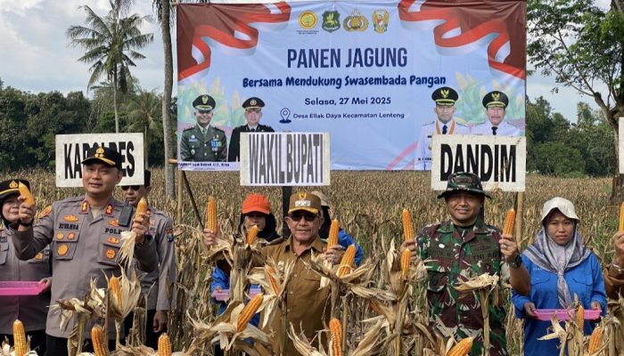 Wabup Imam Hasyim Hadiri Panen Jagung di Ellak Daya: Optimis Mendorong Pertumbuhan Ekonomi