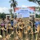 Ellak Daya Panen Jagung Hibrida, DKPP Sumenep: Target Swasembada 25.000 Hektare Makin Dekat