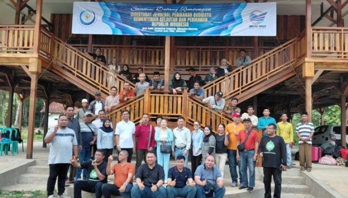 Survei Dirjen PB KKP di Gugusan Kangean, Langkah Strategis Menuju Legalitas dan Ekspor Lobster BALAD Grup