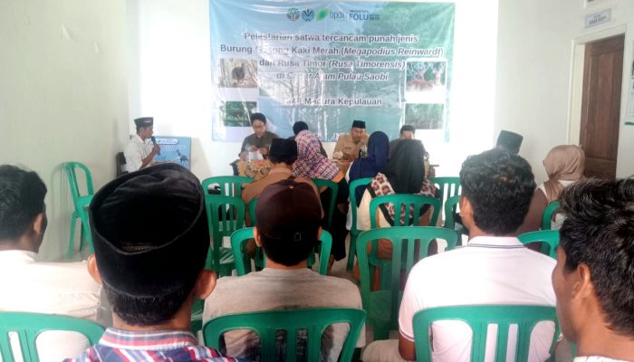 Sosialisasi Pelestarian Satwa Langka Digelar di CA Pulau Saobi, Fokus pada Burung Gosong dan Rusa Timor