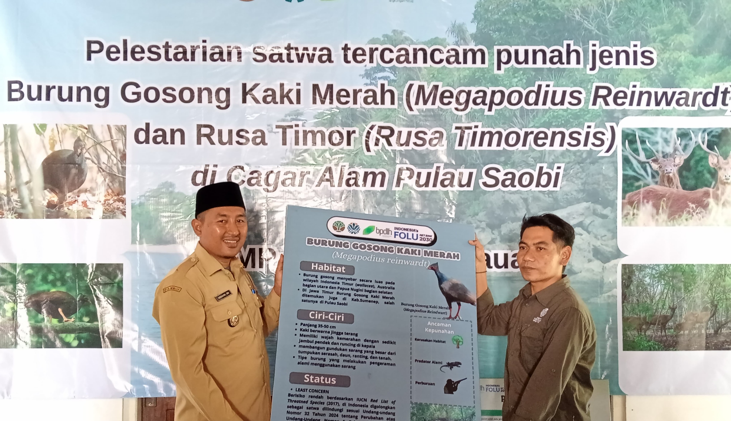 Sosialisasi Pelestarian Satwa Langka Digelar di CA. Pulau Saobi, Fokus pada Burung Gosong dan Rusa Timor