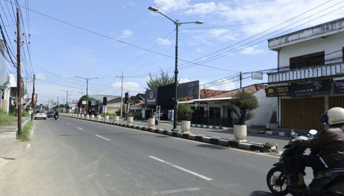 DLH Sumenep Bikin Wajah Baru di Jalan Trunojoyo dengan 100 Pot Tanaman Hias