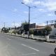 DLH Sumenep Bikin Wajah Baru di Jalan Trunojoyo dengan 100 Pot Tanaman Hias