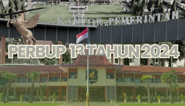 Perbup Nomor 13 Tahun 2024: Pemkab Sumenep Wajibkan Layanan Kesehatan Inklusif untuk Penyandang Disabilitas