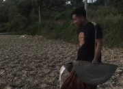 Petani Muda Guluk-Guluk: Pemkab Jangan Hanya Awasi, Tapi Hadir di Tengah Petani