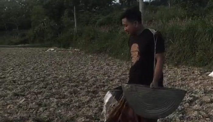 Petani Muda Guluk-Guluk: Pemkab Jangan Hanya Awasi, Tapi Hadir di Tengah Petani