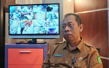 Luas Tanam Tembakau di Sumenep 2025 Turun Drastis, DKPP dan Petani: Iklim Jadi Penentu