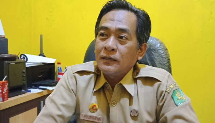 Mitigasi Bahaya Pohon Tumbang DLH Sumenep Lakukan Pemeliharaan Berkelanjutan