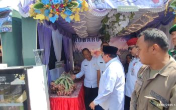 Ini Inovasi Pertanian di 20 Kecamatan di Sumenep