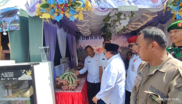 Ini Inovasi Pertanian di 20 Kecamatan di Sumenep