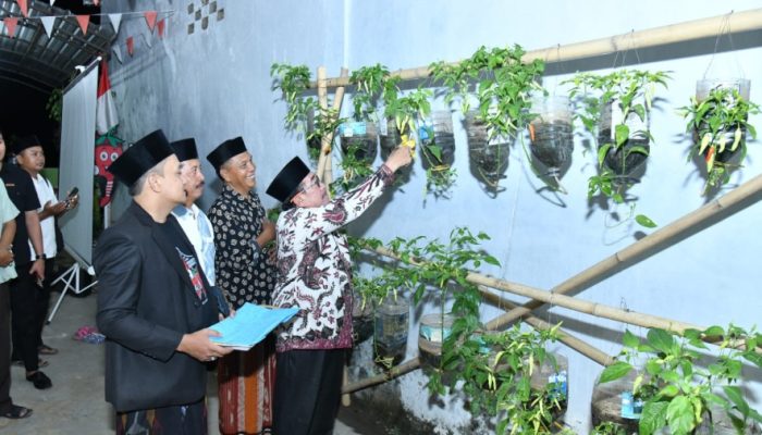 Wabup Sumenep KH. Imam Hasyim Hadiri Panen Perdana Kampoeng Cabe