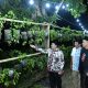 Wabup Sumenep Bakal Fasilitasi dan Kolaborasi Pengembangan Kampoeng Cabe Sumekar