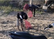 UKM Mayapada UPI Sumenep Gelar Beach Cleanup and Camp Night di Pantai Dasuk Barat