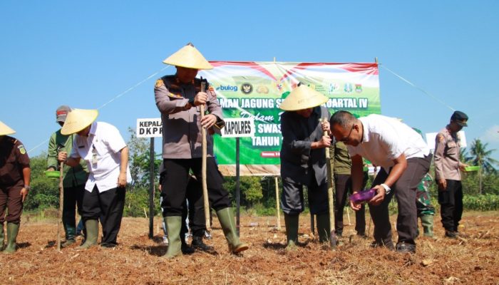 Sinergi Polres Sumenep Bersama Forkopimda Dukung Swasembada Pangan