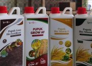 Petani Milenial Sumenep Kembangkan Pupuk Organik, DKPP Dukung Hingga Tahap Perizinan Kementan