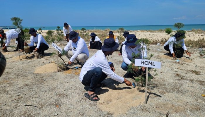 SKK Migas–HCML Tanam 2.000 Cemara Udang di Gili Raja Sumenep, Dorong Ekowisata dan Pelestarian Pesisir