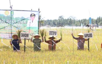 Kapolres Sumenep Hadiri Panen Raya Padi, Dorong Sinergi Ketahanan Pangan Nasional
