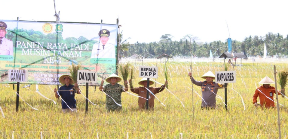 Kapolres Sumenep Hadiri Panen Raya Padi, Dorong Sinergi Ketahanan Pangan Nasional