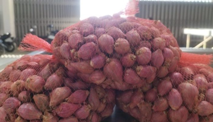 Komisi II DPRD Sumenep Minta DKPP Kembangkan Bawang Merah Varietas Rubaru ke Wilayah Baru