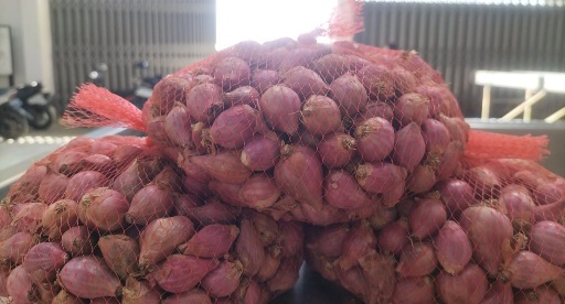 Komisi II DPRD Sumenep Minta DKPP Kembangkan Bawang Merah Varietas Rubaru ke Wilayah Baru