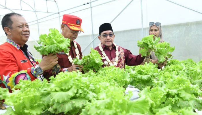 Wabup Sumenep Sebut Smart Farming Jawaban Tantangan Pertanian Masa Depan