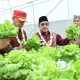 Wabup Sumenep Sebut Smart Farming Jawaban Tantangan Pertanian Masa Depan
