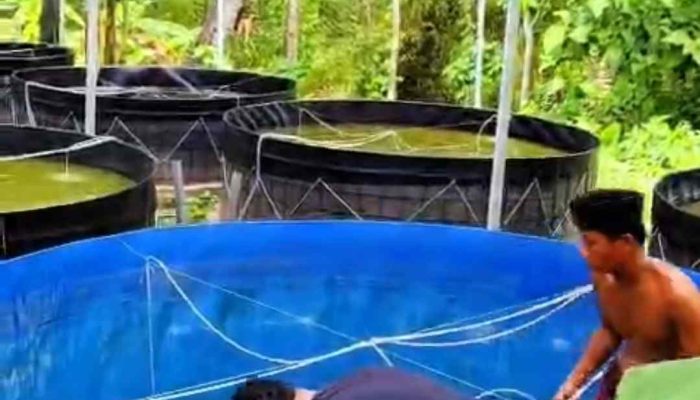 Diskan Sumenep Alokasikan Rp 1,6 Miliar untuk Sarpras Budidaya Ikan 2026