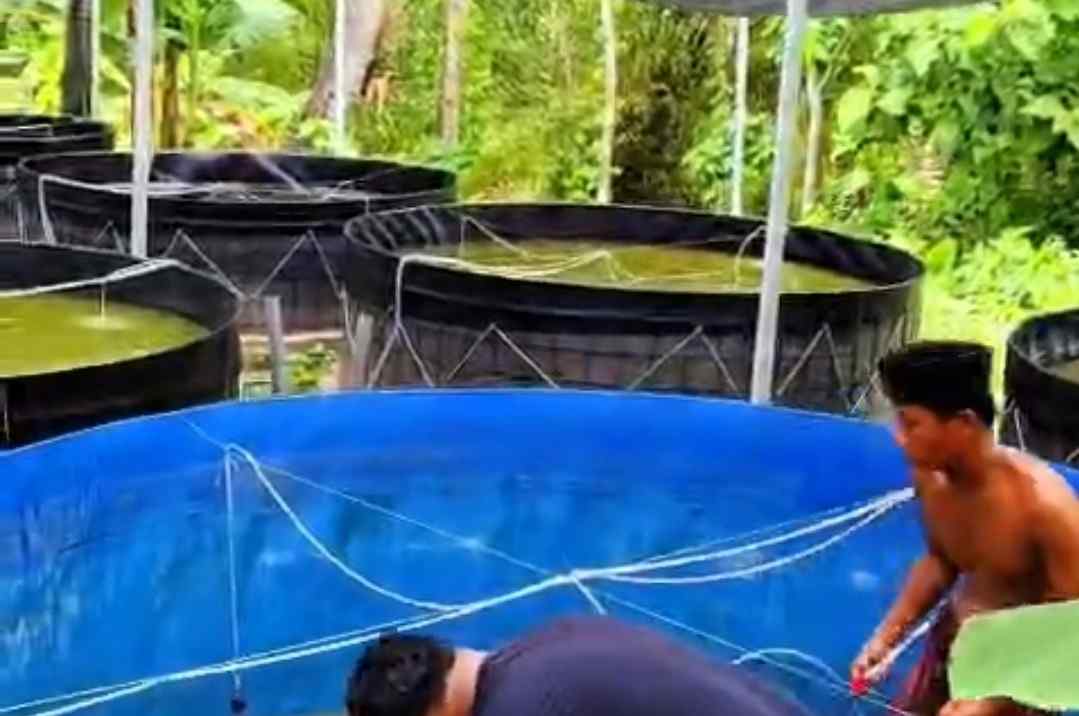 Diskan Sumenep Alokasikan Rp 1,6 Miliar untuk Sarpras Budidaya Ikan 2026