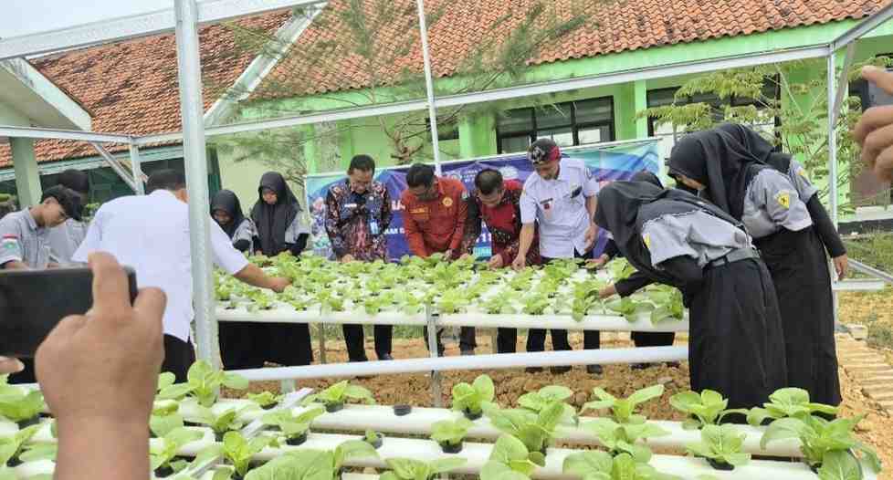 SMKN 1 Sumenep Implementasikan Program SIKAP Gubernur Jatim, Siswa Produksi Sayuran untuk Dukung MBG